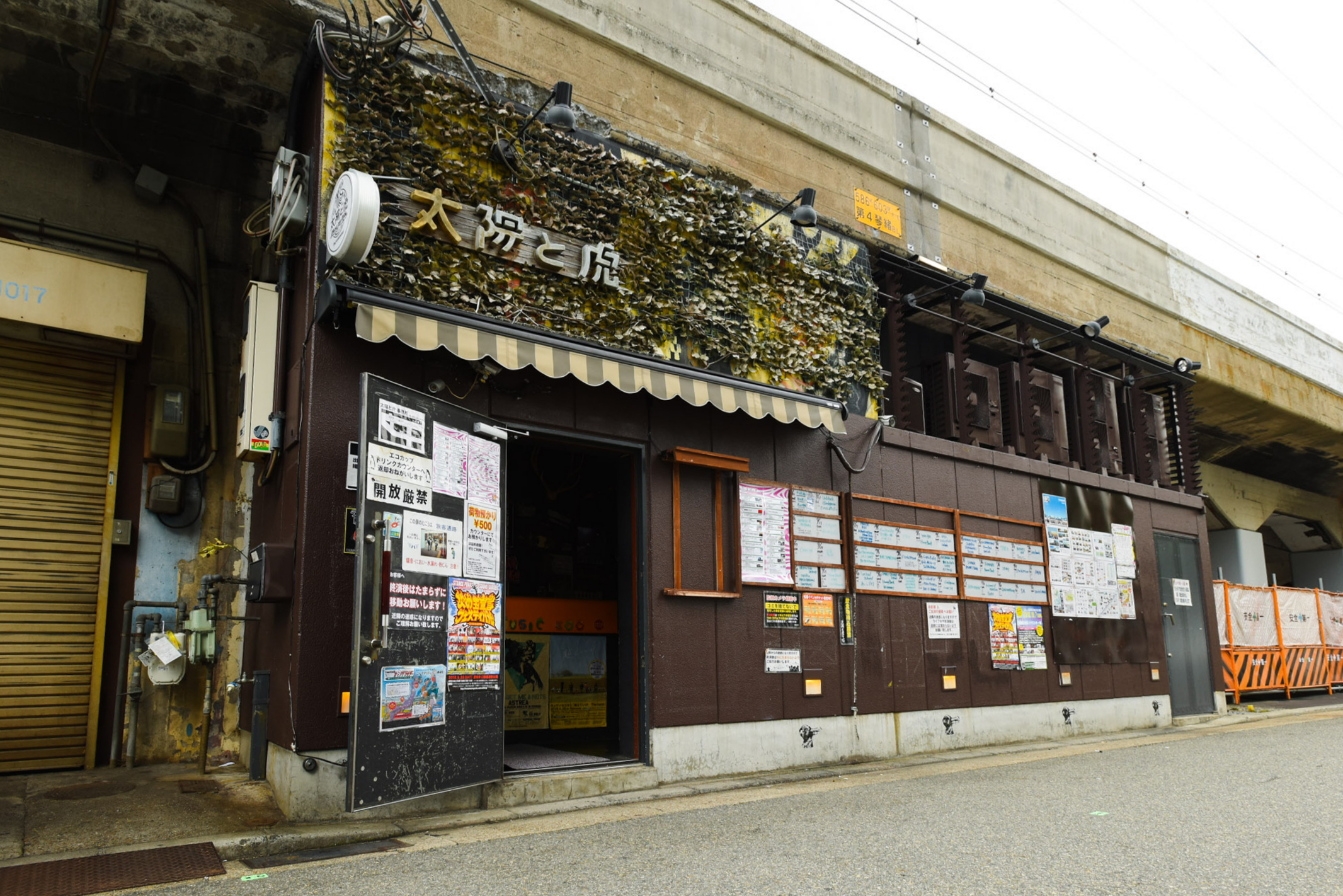 神戸・三宮で2026年10月に開催するイベント「MASHUP FESTIVAL kobe」には「MUSIC ZOO WORLD(ミュージックズーワールド) 」という「太陽と虎」の周年イベントから始まったフェスとして参加